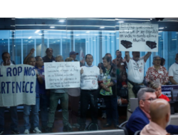 ¿Qué ambiente tienen los proyectos sobre el ROP que avanzaron esta semana?