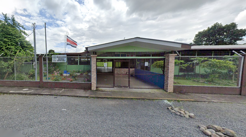 Ataque de abejas deja al menos 50 personas afectadas en escuela de Pococí