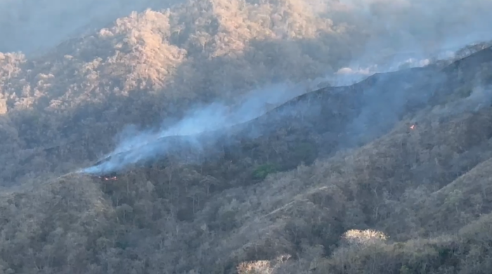 Incendios forestales aumentan a 63: Guanacaste y Puntarenas con mayor afectación