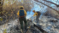 Bomberos analiza colocar cámaras de vigilancia para identificar responsables de incendios forestales