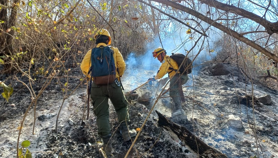 Bomberos analiza colocar cámaras de vigilancia para identificar responsables de incendios forestales