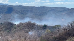 Cifra de incendios forestales llegó a 100: Bomberos advierten por incremento durante Semana Santa