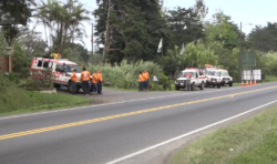 Cruz Roja desplegará más de 500 rescatistas para operativo de Semana Santa