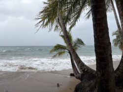 ¿Cómo estará el oleaje en las costas para esta Semana Santa?