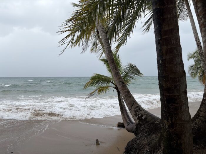 ¿Cómo estará el oleaje en las costas para esta Semana Santa?