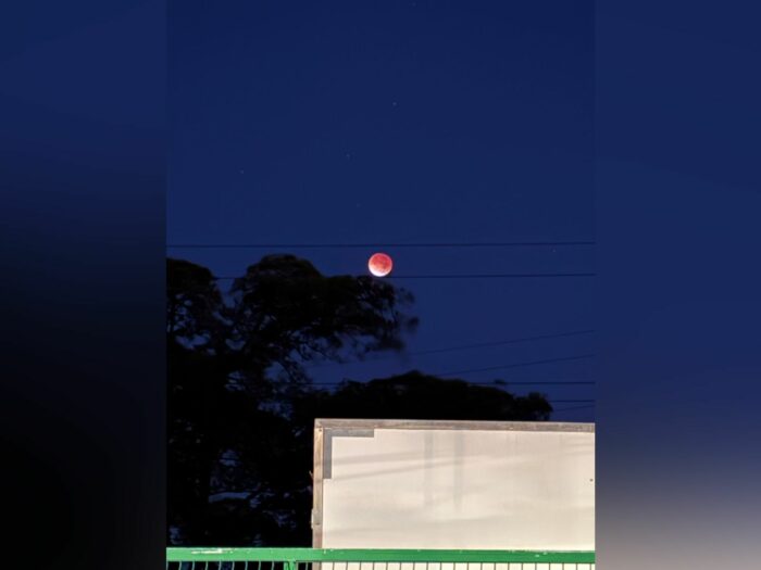 ¿Cuándo se podrá volver a ver un eclipse total de luna? Este mismo año habrá un fenómeno similar