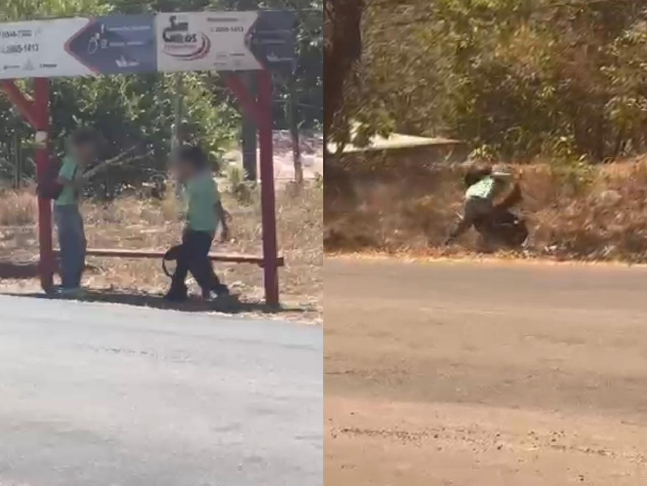 Estudiante apuñala a otro y le provoca la muerte