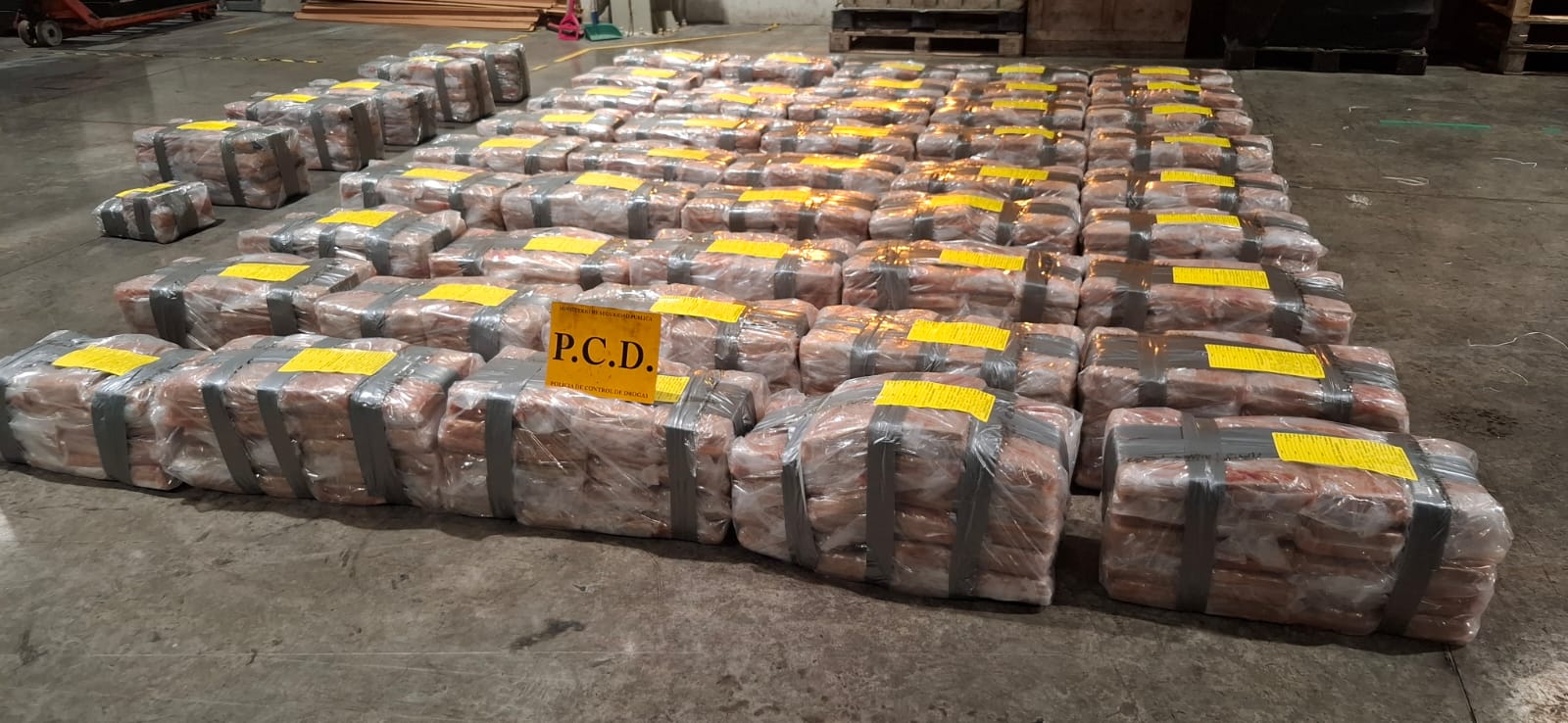 Detienen a ocho sospechosos de transportar una tonelada de cocaína en Terminal de Moín