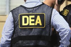 ¿Cuándo se dará la extradición de Celso Gamboa y Pecho de Rata? Experto prevé que se pueda dar en pocos días
