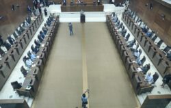 Diputados electos definen prioridades y comentan expectativas a horas de asumir el cargo