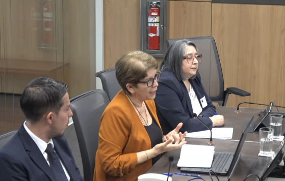 Contraloría advierte ‘débil’ fiscalización en contrato de APM Terminals en Limón