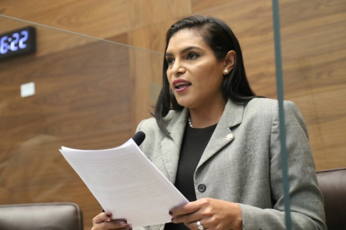 Director de la DIS niega ‘seguimientos’ y califica de irresponsable publicación de diputada Johanna Obando