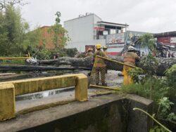 Fuertes aguaceros y vientos provocaron incidentes en distintos sectores del país