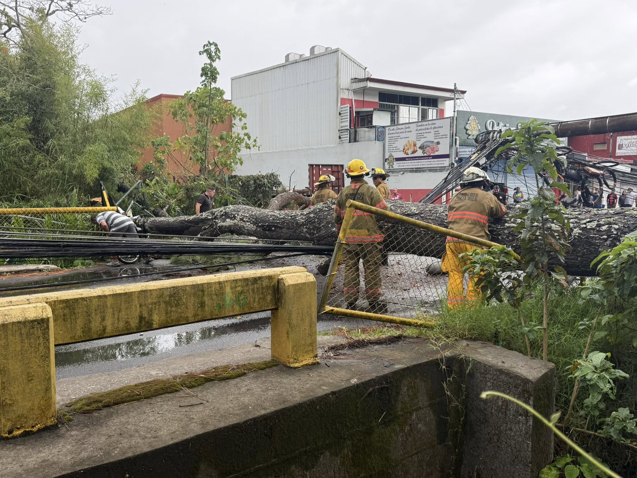 Fuertes aguaceros y vientos provocaron incidentes en distintos sectores del país #NM935