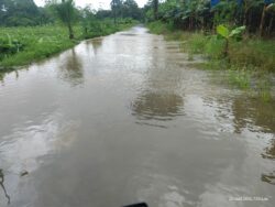 CNE emite alerta verde para la región Caribe, Turrialba y Sarapiquí por condiciones lluviosas
