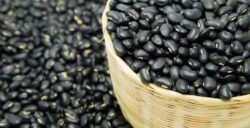 UNA advierte por caída en la producción de frijol y el impacto en la seguridad alimentaria