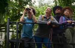Visitación de turistas por vía aérea aumentó más de 10% en primeros meses del año