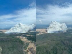 Rayo provoca incendio forestal en Parque Nacional Palo Verde