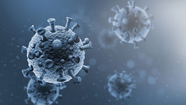¿Hay presencia de hantavirus en Costa Rica? Esto dice el Colegio de Microbiólogos