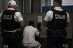 Defensa de ‘Pecho de Rata’ y ‘Profe’ cuestiona medida de Justicia que impide contacto físico con extraditables