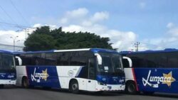 ARESEP archivó solicitud de Lumaca de subir pasaje por encima de los ₡1000