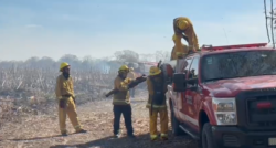 Bomberos prevén mantener operativo por al menos 10 días más en incendio forestal de Palo Verde