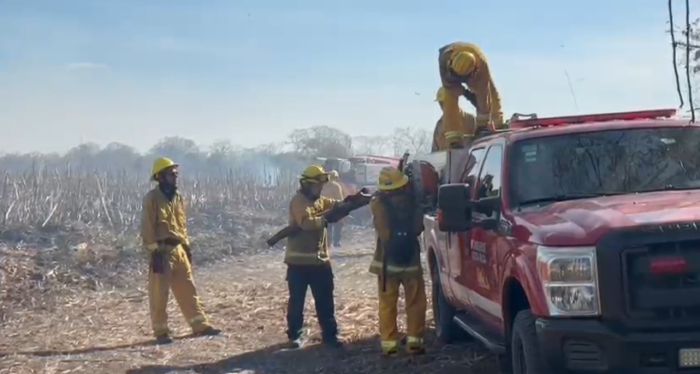 Bomberos prevén mantener operativo por al menos 10 días más en incendio forestal de Palo Verde