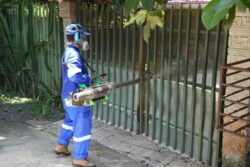 Autoridades sanitarias intensifican acciones para contener brotes de dengue en Orotina y Grecia