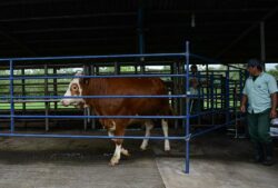MAG advierte a productores sobre sequía y pide preparación ante efectos del fenómeno de El Niño
