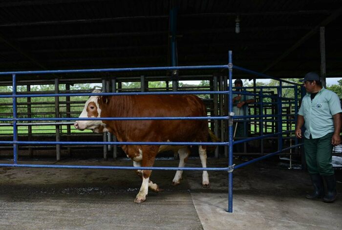 MAG advierte a productores sobre sequía y pide preparación ante efectos del fenómeno de El Niño
