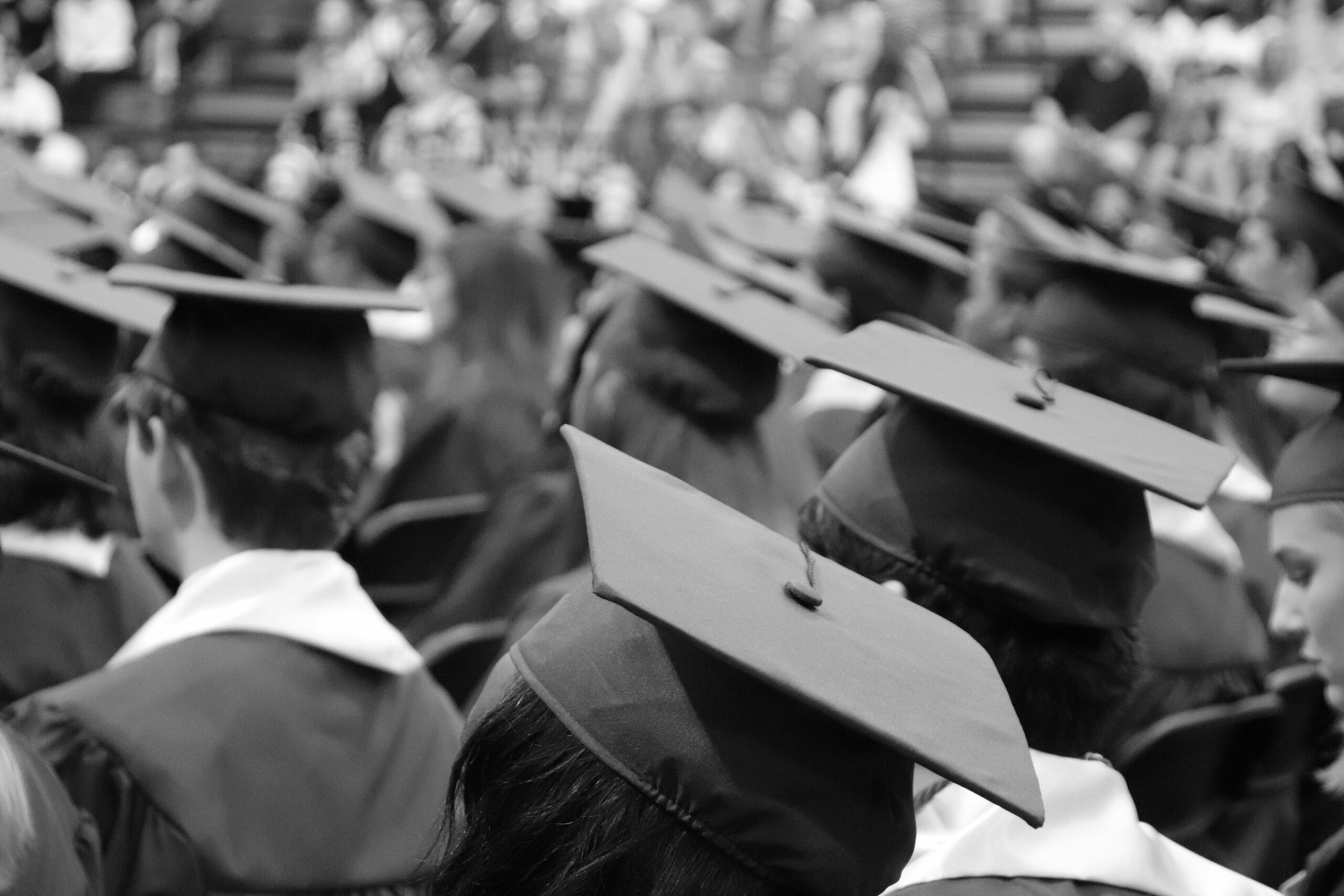 Graduados en Derecho, Educación y Ciencias Sociales tardan más en incorporarse al mercado laboral #NM935