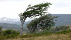 IMN prevé menos lluvias y más viento por llegada de la canícula en las próximas semanas