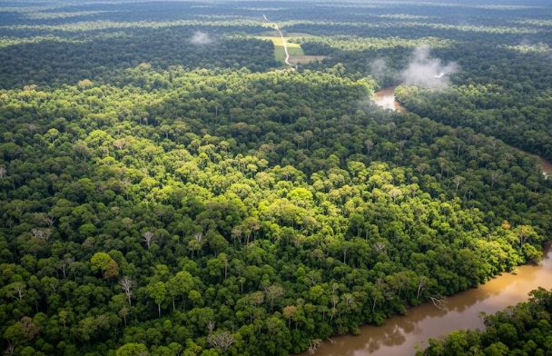 El fenómeno de El Niño agrava la crisis climática en la Amazonía y aumenta el riesgo de incendios