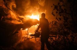 El fuego asedia España otro verano más: 106.000 desalojados y más de 81.000 hectáreas calcinadas en el país tras el incendio más devastador de la historia reciente