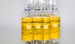 Salud valora ampliar lista de países para los que debe vacunarse contra fiebre amarilla antes de viajar