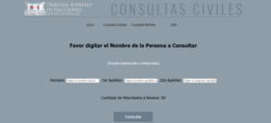 Plan del TSE que cambia consultas de datos en sitio web quedará para un ‘futuro próximo’