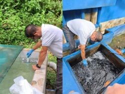 ASADA en Aserrí asegura que análisis confirman calidad del agua potable