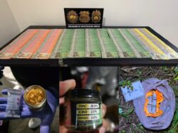 Golpe a célula de “Diablo”: decomisan ¢10 millones, drogas y detienen a nueve sospechosos
