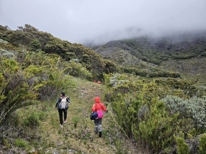 Encuentran con vida a hombre desaparecido desde el lunes en la noche en Parque Nacional Chirripó