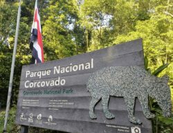 Alertan por falta de guardaparques y aumento de delitos ambientales en Corcovado