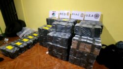 Decomisan una tonelada de droga vinculada presuntamente al Cártel Jalisco Nueva Generación en Alajuela
