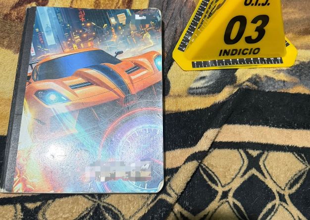 Detienen a menor de 15 años que habría amenazado con hacer tiroteo y explotar bomba en centro educativo de Puriscal