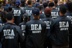 El Congreso de EEUU investiga a la DEA por supuestamente permitir la circulación de fentanilo