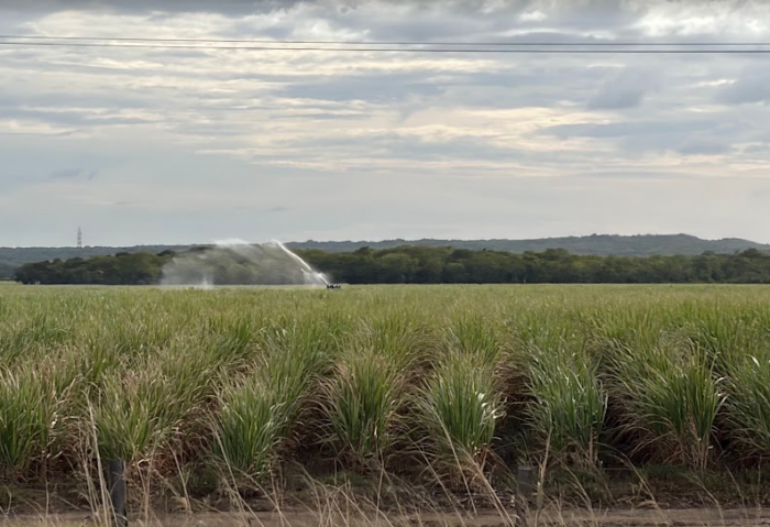 CNE no descarta valorar alerta roja por fenómeno de El Niño ante condiciones actuales