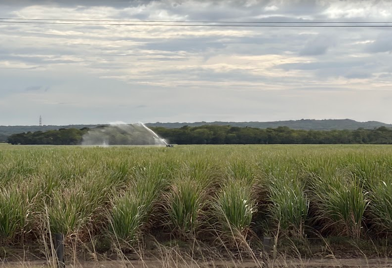 CNE no descarta valorar alerta roja por fenómeno de El Niño ante condiciones actuales