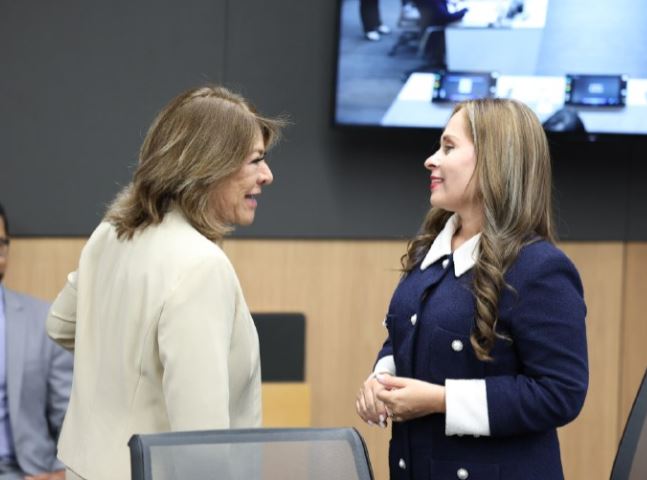 Votaciones sobre reelección de magistrados Jorge Araya y Patricia Solano serán en las próximas dos semanas