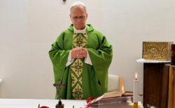 El Vaticano publicó la primera foto del papa León XIV tras la cirugía y un nuevo parte médico: “Mejora constante”