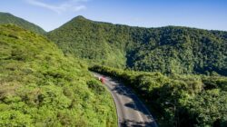 MOPT y CONAVI licitan obras por $11 millones para evitar derrumbes en Ruta 32