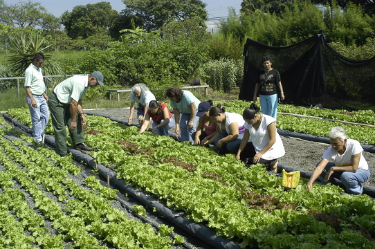 Productores nacionales consideran que Acuerdo Transpacífico les causará competencia desleal y desempleo