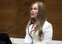 Presidenta del Congreso pide a diputados “bajar revoluciones” en el Plenario